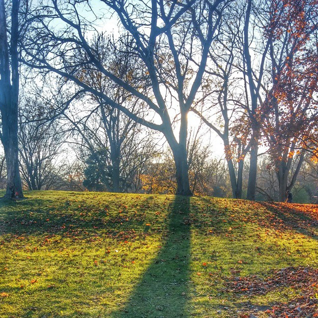 Wheeler Park - @historypro24